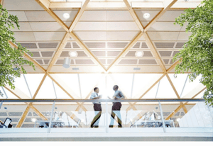Using biology to determine how we design the workplace of tomorrow