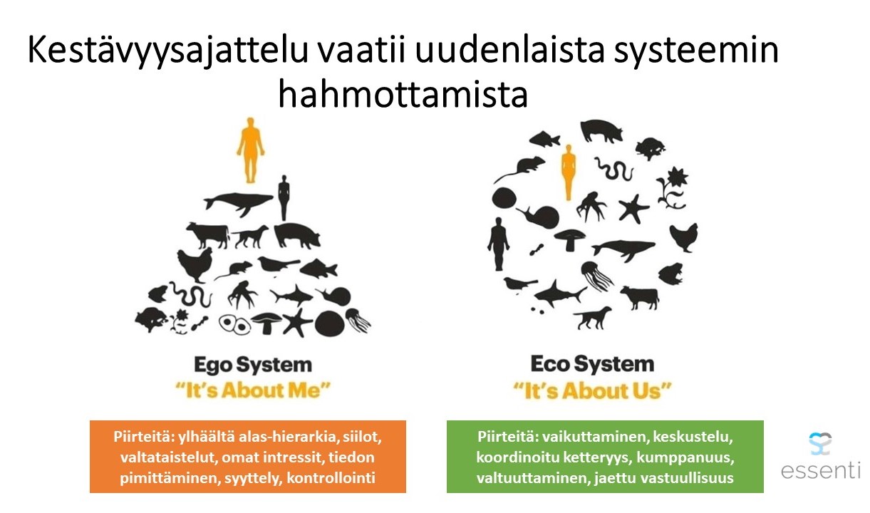 Kestävyysajattelu systeemin hahmottaminen
