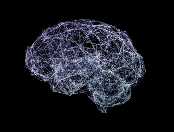 Neuroplasticity and the brain science behind exceptional leadership